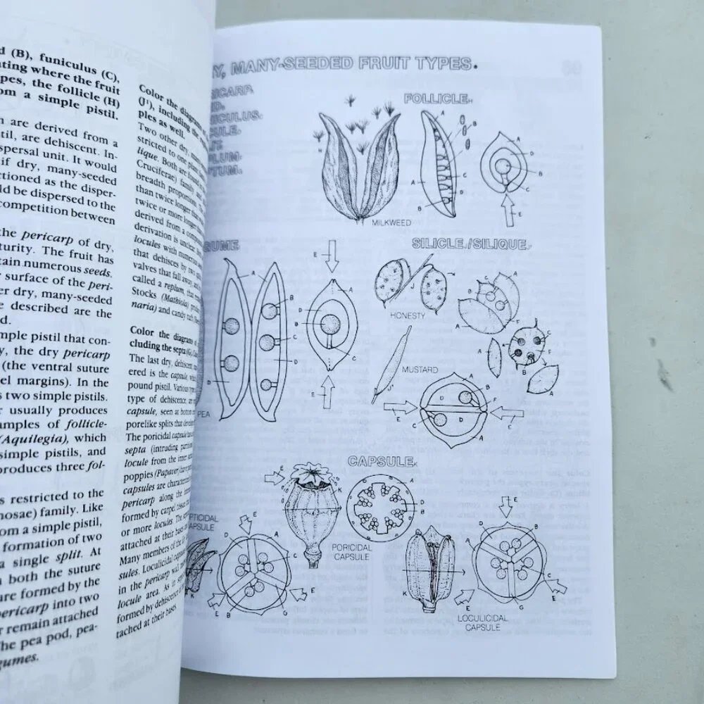NEW Botany Coloring Book Adult High School Paperback High School Science Activit